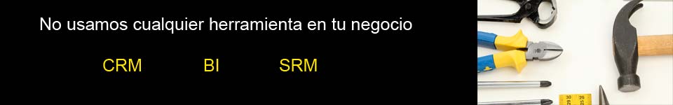 CRM-BI-SRM